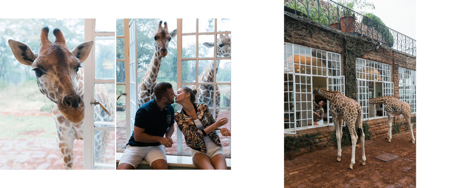 Giraffe Manor Завтрак с Жирафами в Африке