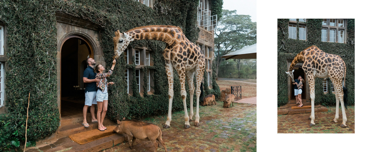 Giraffe Manor Завтрак с Жирафами в Африке